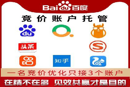 SEM竞价推广案例：电商行业成功案例解析